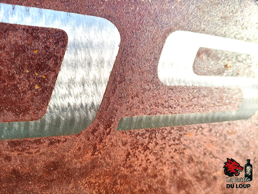Plaque Citroën DS Acier rouillé XL – Image 5
