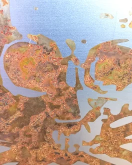 Plaque Lynyrd Skynyrd Acier rouillé XL