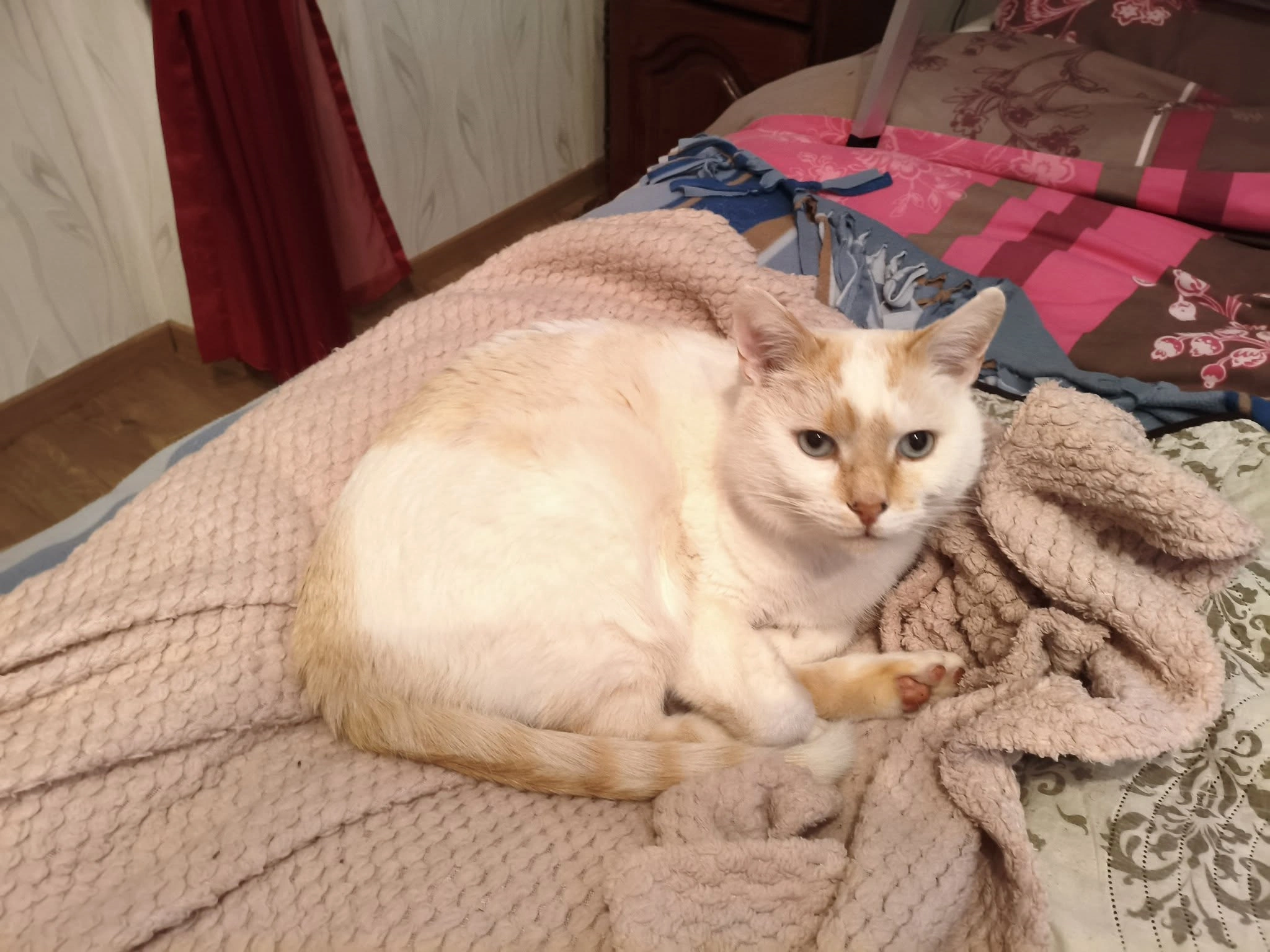 You are currently viewing Cadeaux personnalisés de Noël